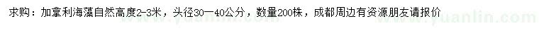 求購高2-3米加拿利海棗