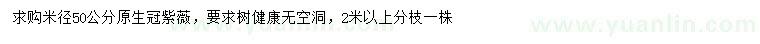 求購米徑50公分原生冠紫薇