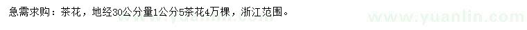 求購30量1公分茶花