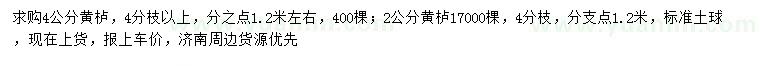 求購2-4公分黃櫨