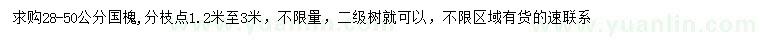求購28-50公分國槐