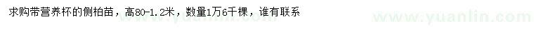 求購高80-1.2米側(cè)柏
