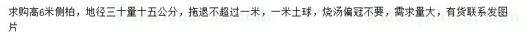 求購(gòu)高6米側(cè)柏
