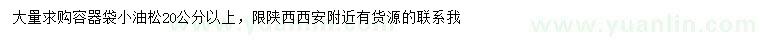 求購20公分以上油松