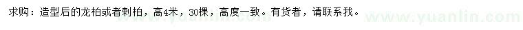 求購(gòu)高4米龍柏或者剌柏