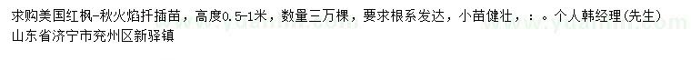 求購高0.5-1米美國紅楓秋火焰