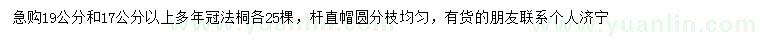 求購17、19公分以上法桐