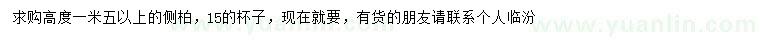 求購(gòu)高1.5米以上側(cè)柏
