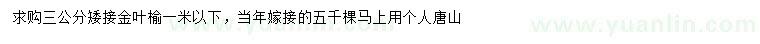 求購(gòu)3公分矮接金葉榆