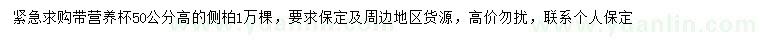 求購高50公分側(cè)柏