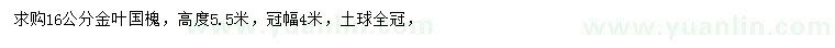 求購16公分金葉國槐