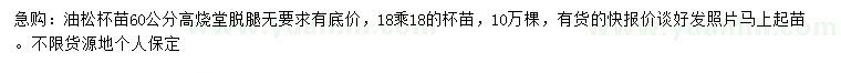 求購(gòu)60公分油松