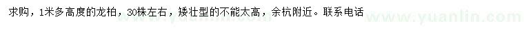 求購高1米多龍柏