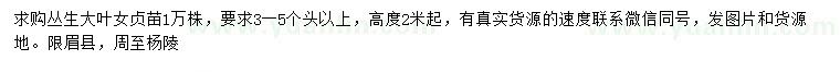 求購高2米叢生大葉女貞