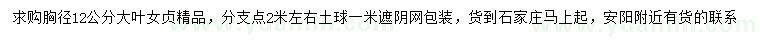 求購(gòu)胸徑12公分大葉女貞
