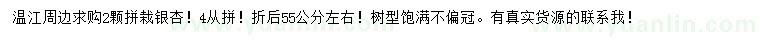 求購拼栽銀杏