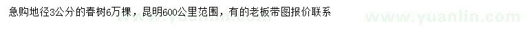 求購地徑3公分椿樹
