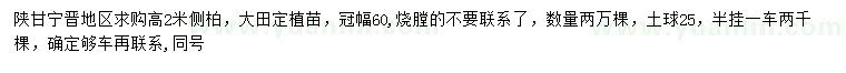 求購(gòu)高2米側(cè)柏