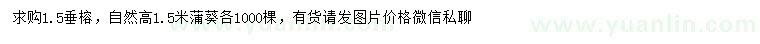 求購高1.5米垂榕、蒲葵