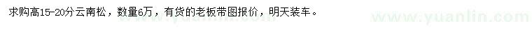 求購高15-20分云南松