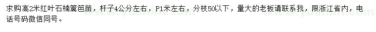 求購高2米紅葉石楠