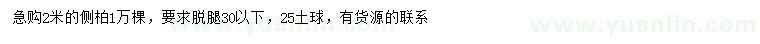 求購2米側柏