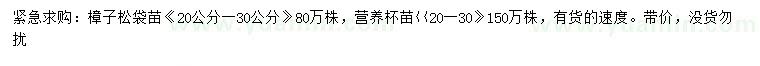 求購20-30公分樟子松