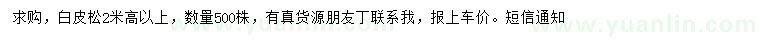 求購(gòu)高2米以上白皮松