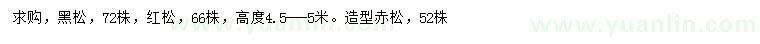 求購黑松、紅松、造型赤松