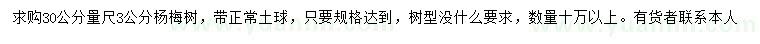 求購(gòu)30量3公分楊梅樹(shù)