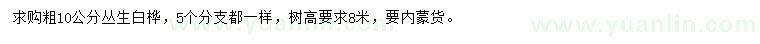 求購粗10公分叢生白樺