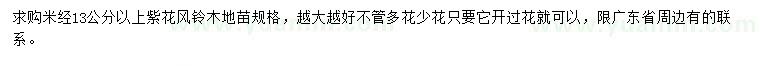 求購(gòu)米徑13公分以上紫花風(fēng)鈴木