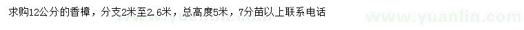 求購12公分香樟