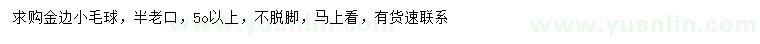 求購金邊小毛球