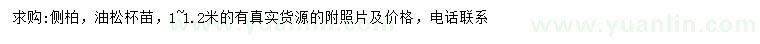 求購(gòu)1-1.2米側(cè)柏、油松