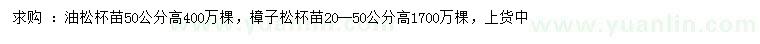 求購(gòu)高50公分油松