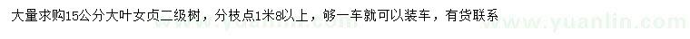求購15公分大葉女貞