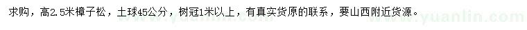求購高2.5米樟子松