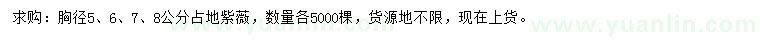 求購胸徑5、6、7、8公分紫薇