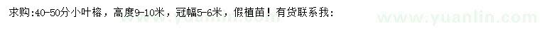 求購40-50公分小葉榕