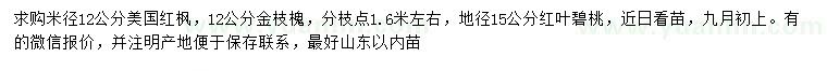 求購(gòu)美國(guó)紅楓、金枝槐、紅葉碧桃