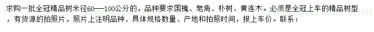 求購國槐、皂角、樸樹等