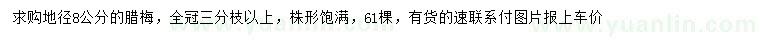 求購地徑8公分臘梅