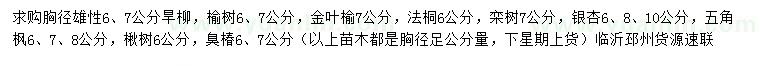 求購旱柳、榆樹、金葉榆等