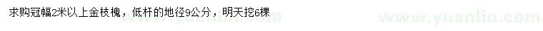 求購冠幅2米以上金枝槐