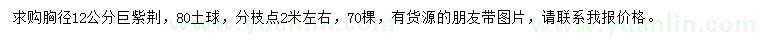 求購胸徑12公分巨紫荊