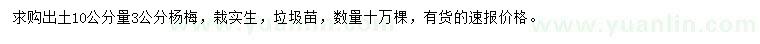 求購出土10公分量3公分楊梅