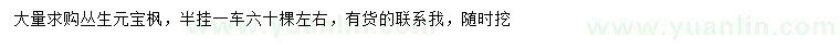 求購叢生元寶楓