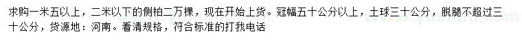 求購1.5-2米側(cè)柏