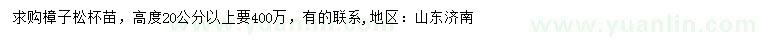 求購(gòu)高20公分以上樟子松